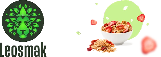 Leosmak Project